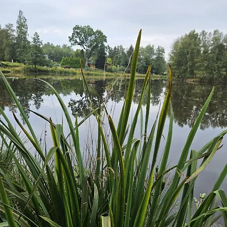 Cosy Sjalay Near The For 6-8 Persons Chalet Buchel