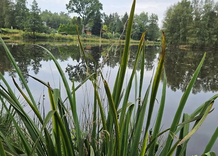 Cosy Sjalay Near The For 6-8 Persons Шале Buchel